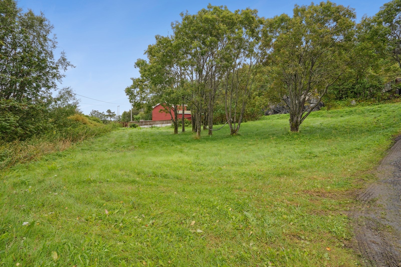 Tomt som tilhører huset. Galleribilde