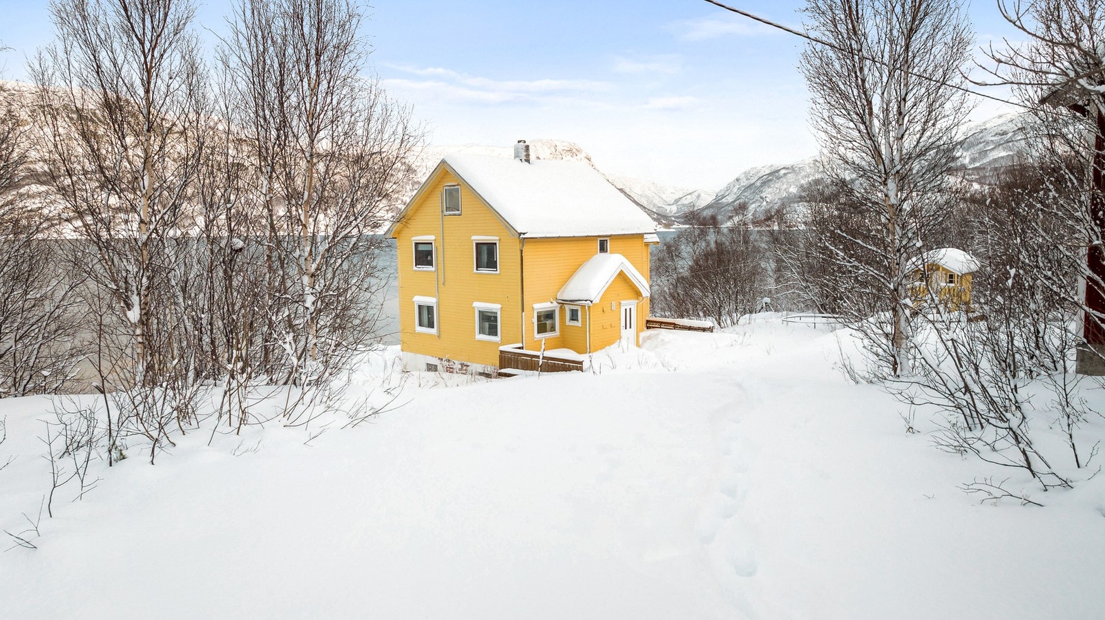 Velkommen til visning! Galleribilde