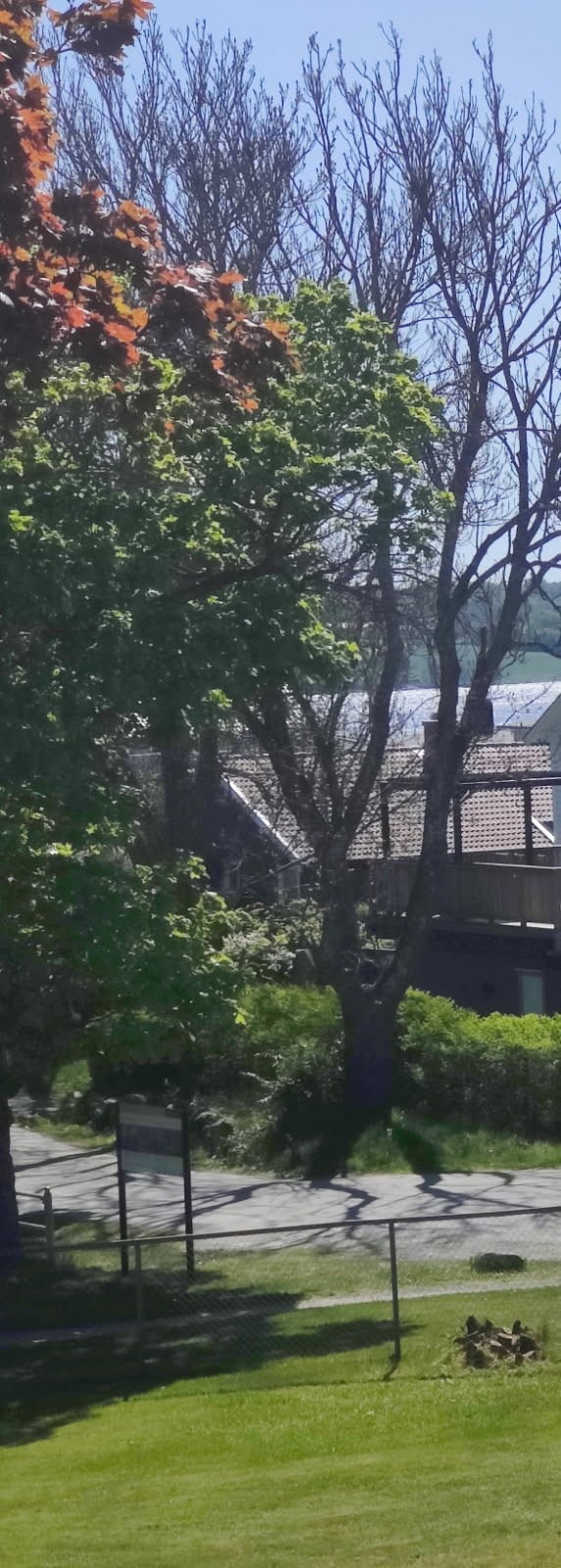 Utsikt mot sjøen fra balkongen Galleribilde