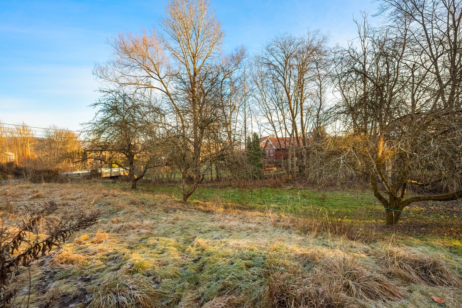 Z72 2381 Galleribilde