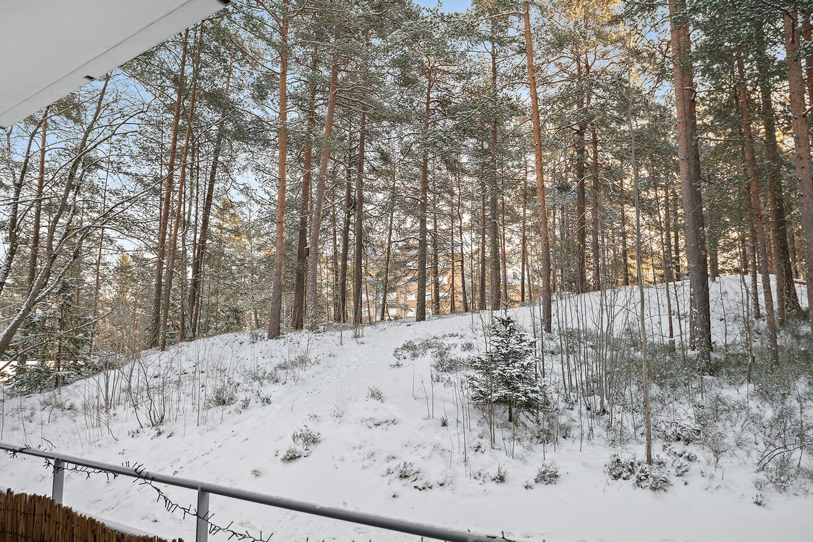 Nærliggende grøntområde/turterreng rett ved. Galleribilde