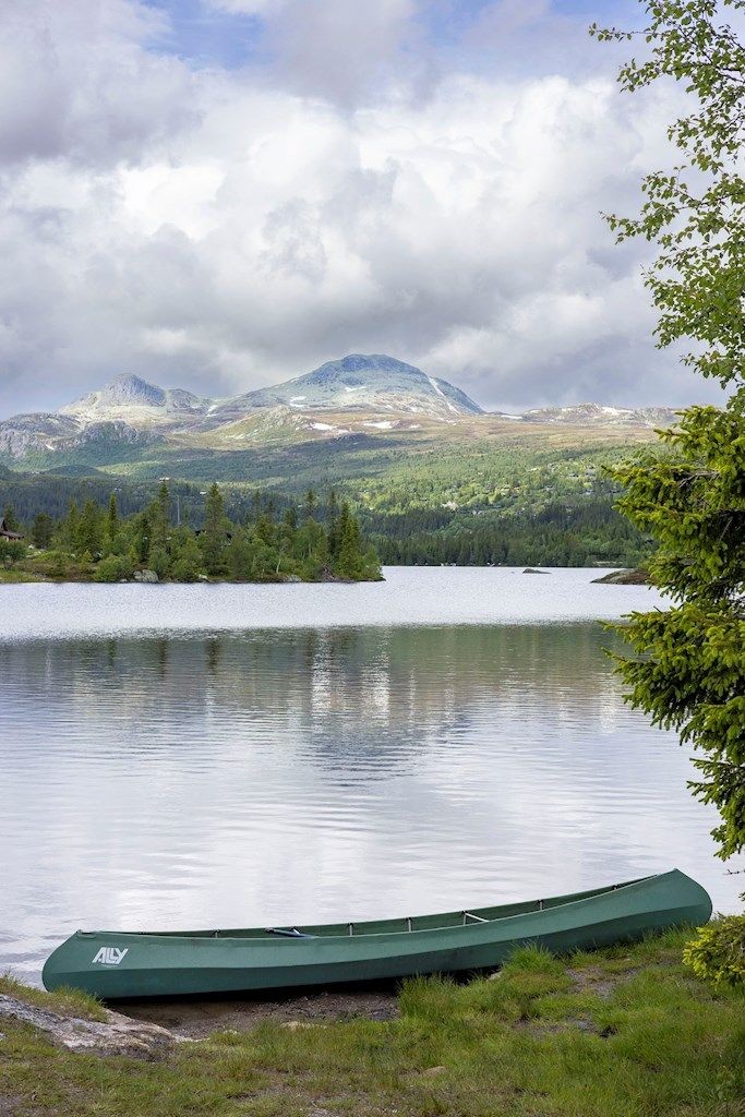 Torskjærvatnet Galleribilde