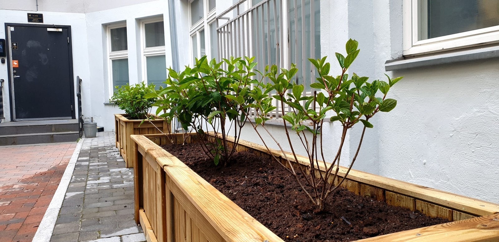 Bilde av bakgård Galleribilde