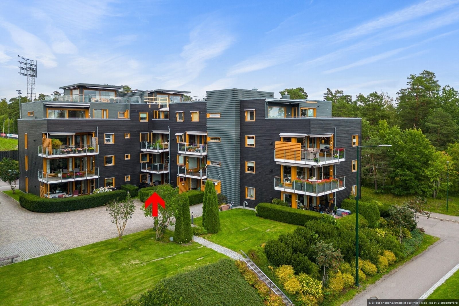 Velkommen til visning! Galleribilde