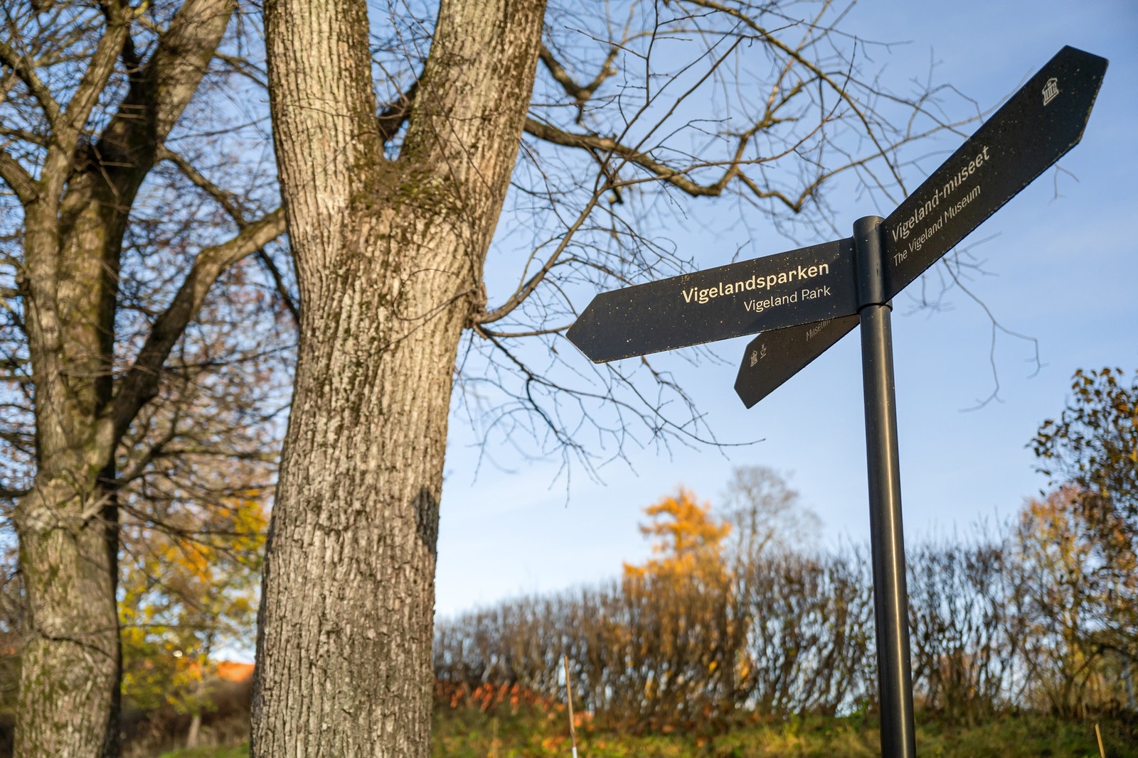 Her har du gangavstand til både parker og alle nødvendige servicetilbud. Galleribilde