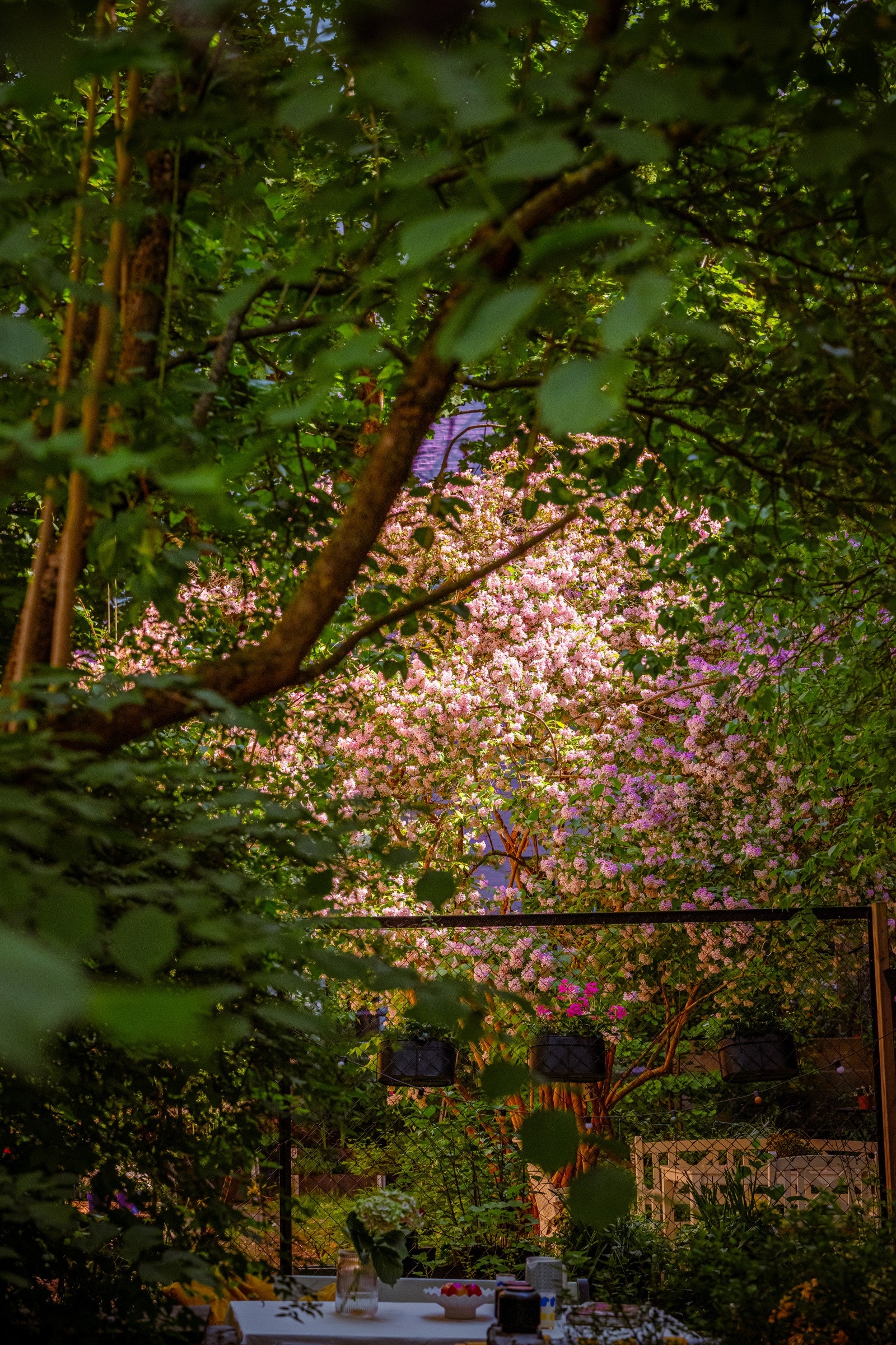 Bakgården er skjermet og fredelig. Galleribilde