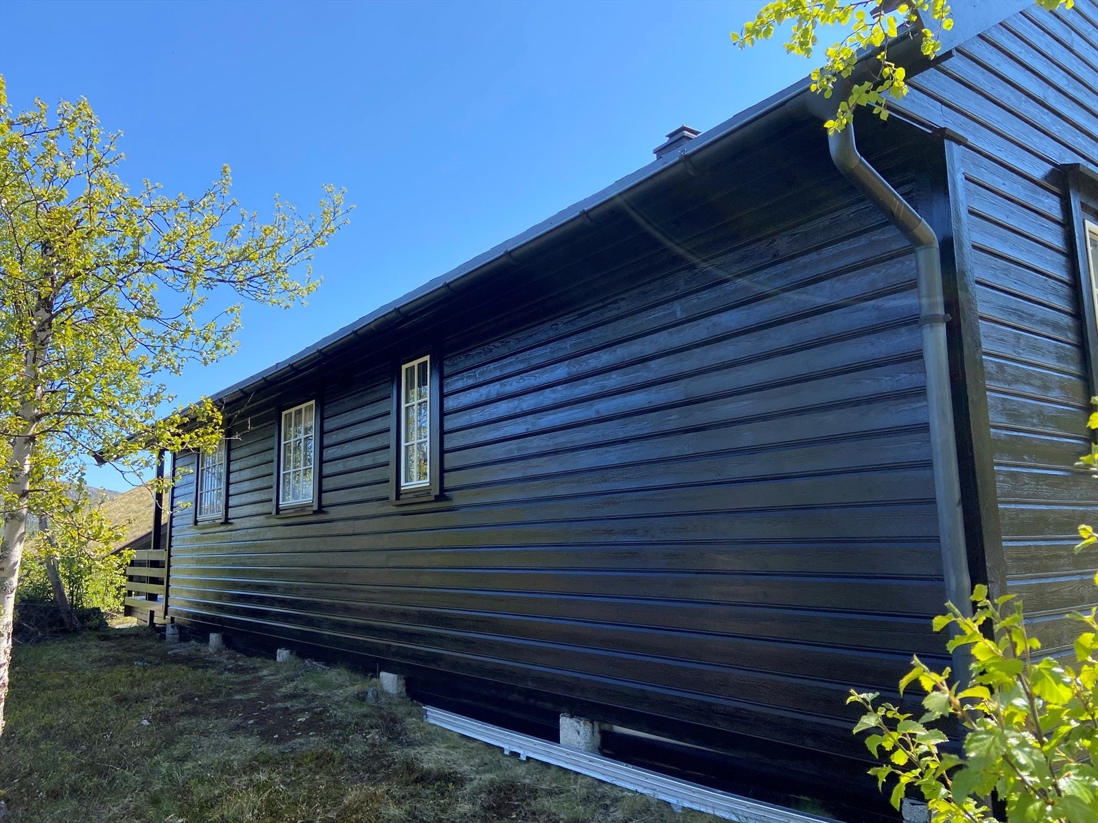 Hytten er nybeiset. Galleribilde