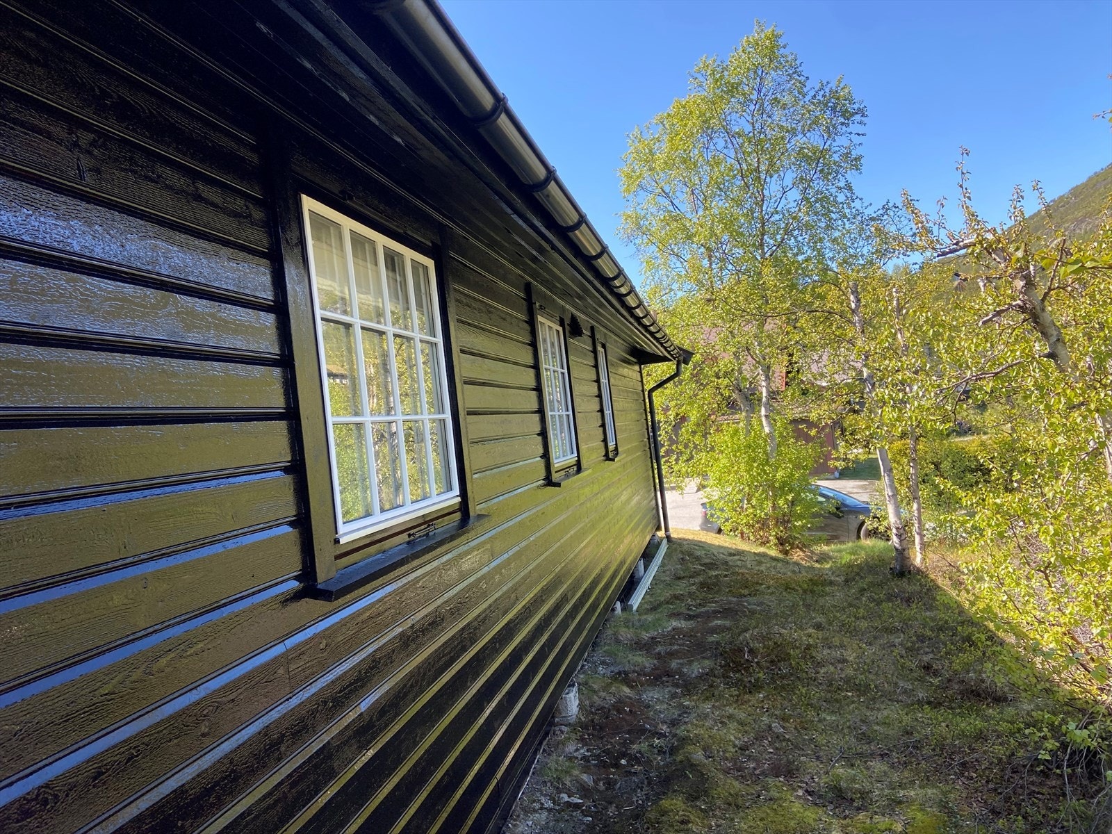 Hytten er nybeiset. Galleribilde