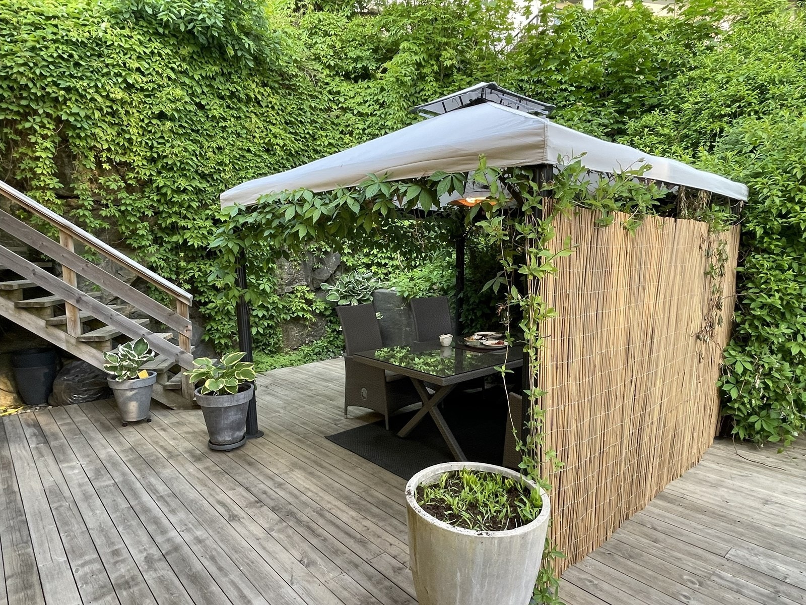 Meget hyggelig uteområdet Galleribilde