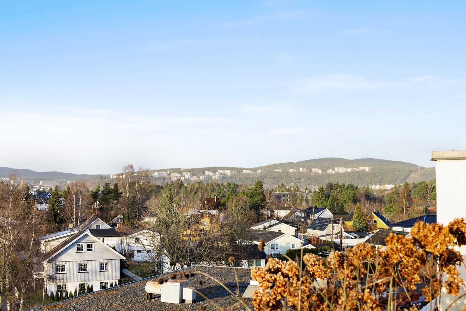 Området byr på gode turmuligheter med umiddelbar nærhet til skog og mark. Galleribilde
