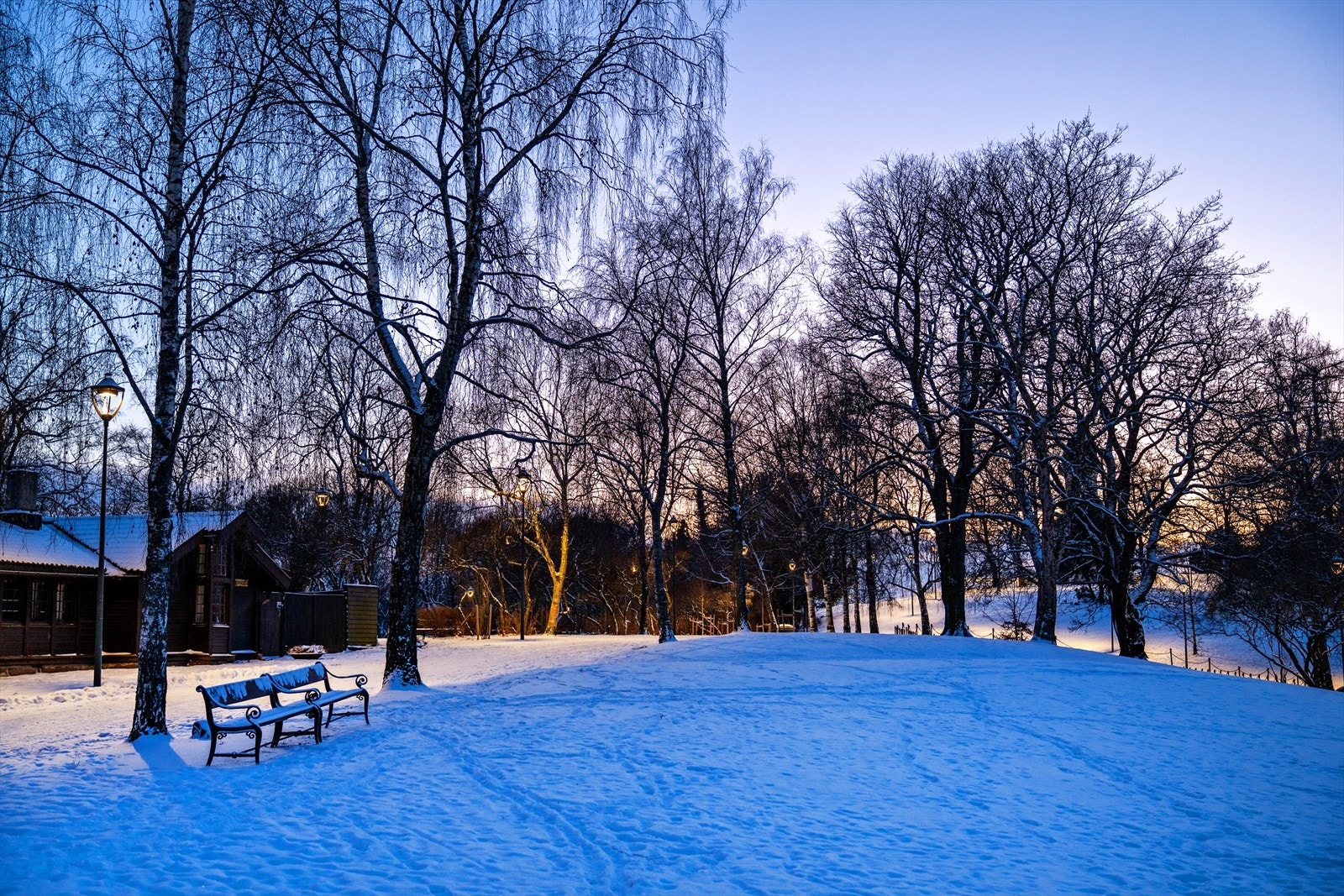 Leiligheten ligger på et høydedrag med parken på St. Hanshaugen som nærmeste nabo. Enveiskjørt og rolig gate Galleribilde