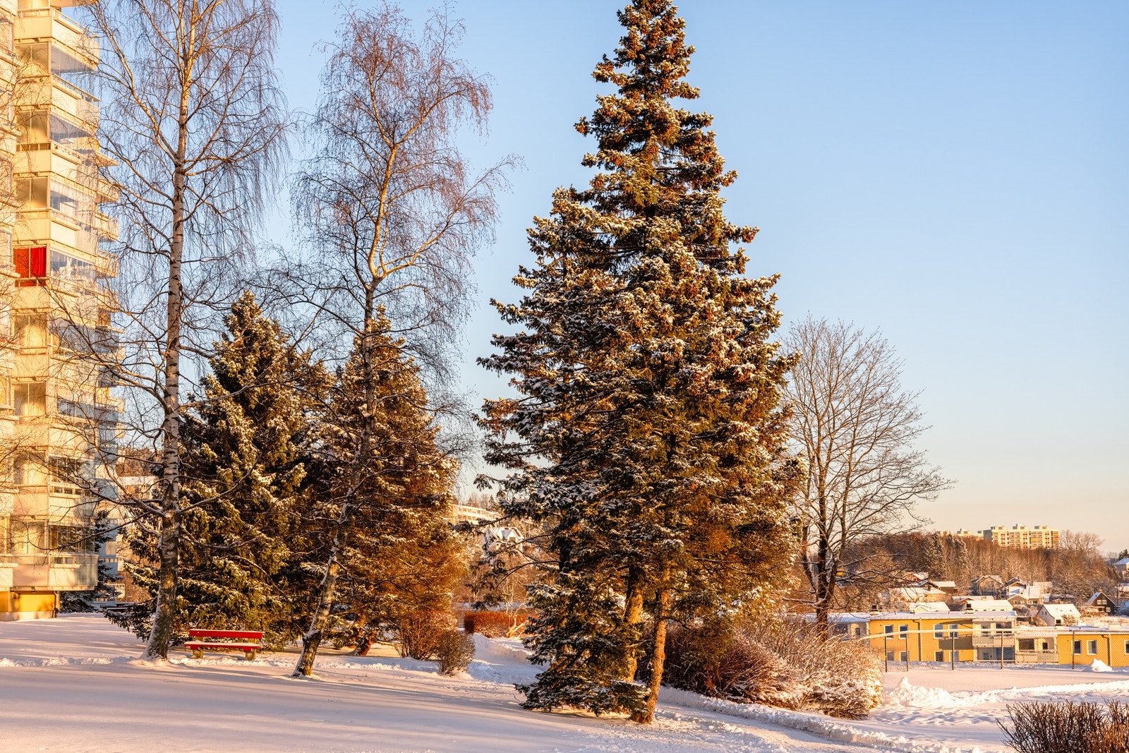 Fellesområdet er opparbeidet med blant annet biloppstillingsplasser, internstier, sykkelstativer, lekeapparater, sittebenker, plenarealer, felles utegrill og diverse beplantning. Galleribilde