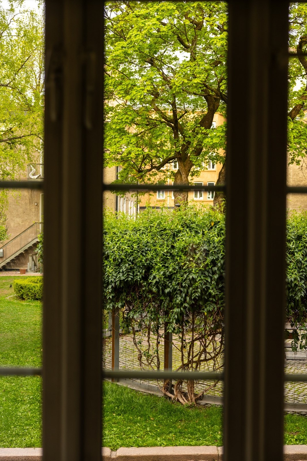 Utsynet mot den flotte bakgården! Galleribilde