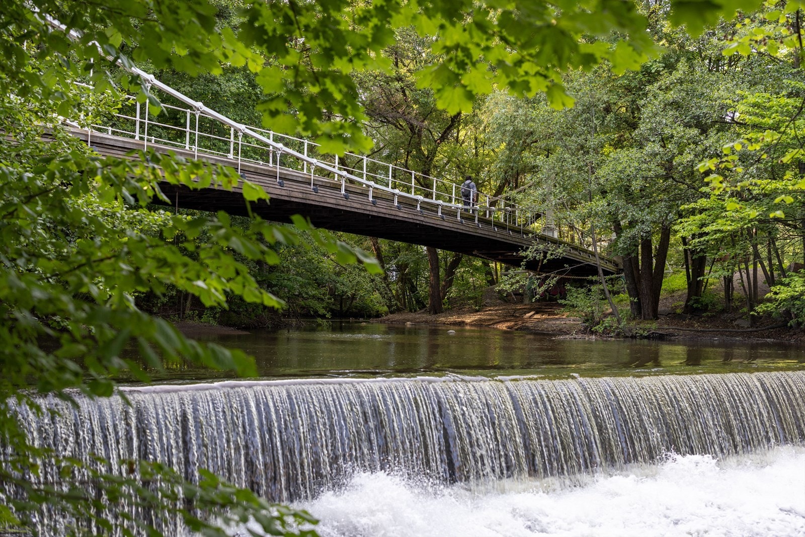 Ikke mange minuttene gange så kommer man til Akerselva med flotte turforhold og fine grøntområder Galleribilde