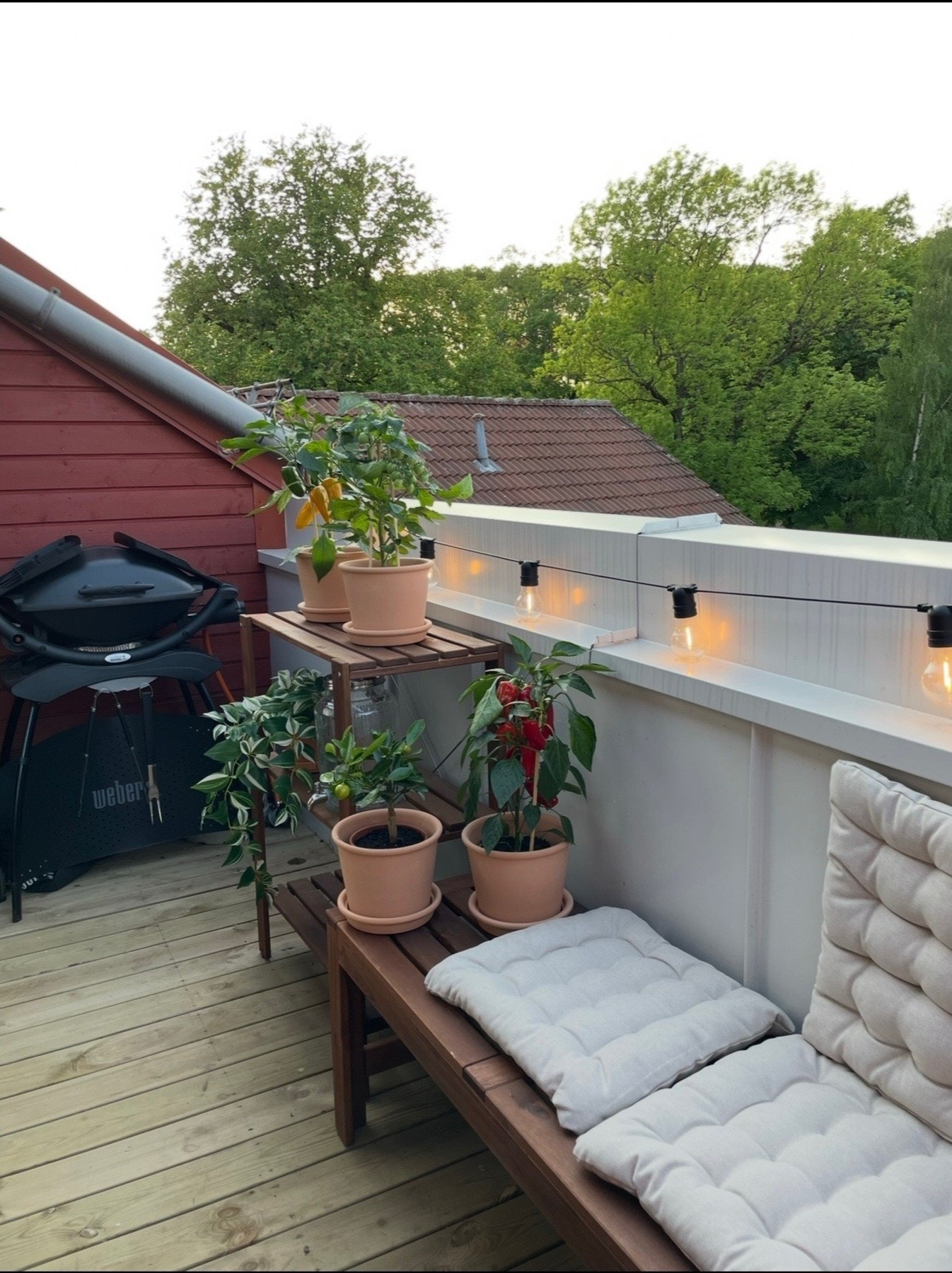 Dette er selgers bilde, som ble tatt på sommerstid. Som du ser, er det frodig utsyn og svært lite innsyn! Galleribilde