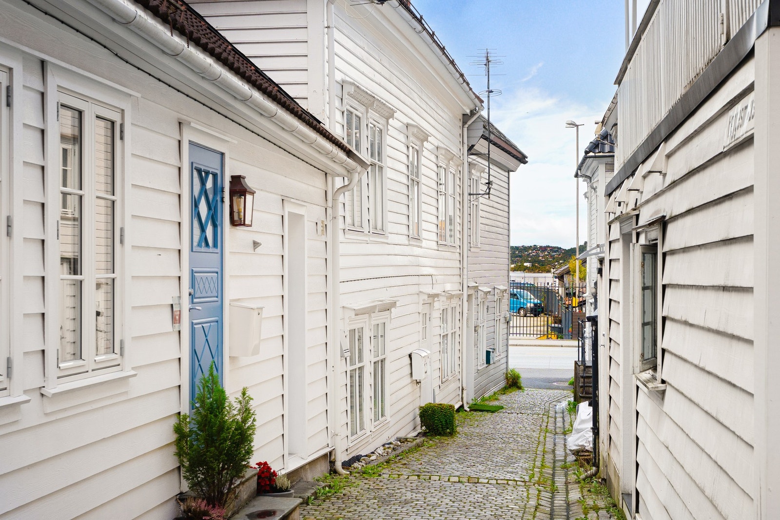 Velkommen til visning! Galleribilde