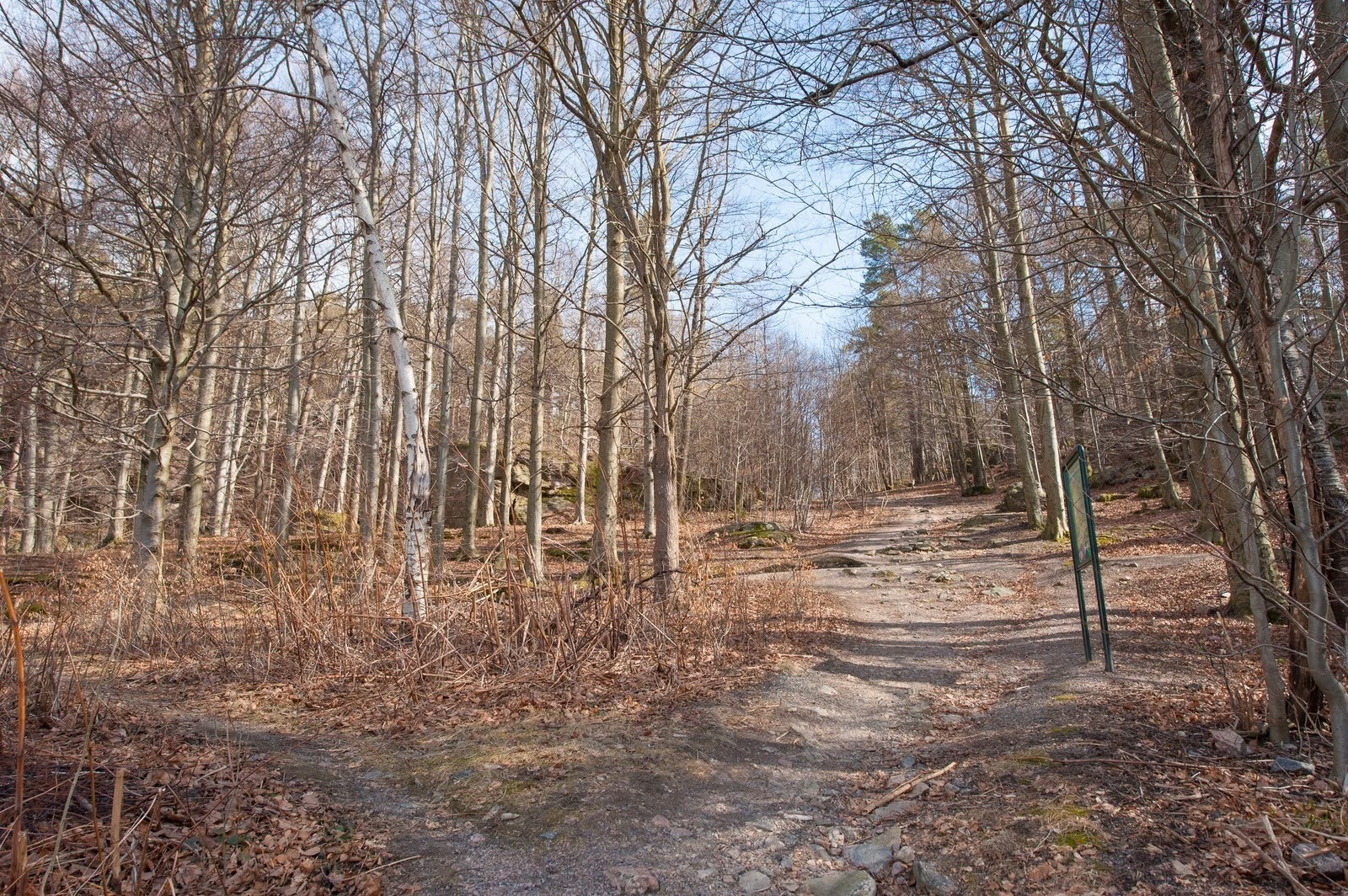 Fasade. Galleribilde