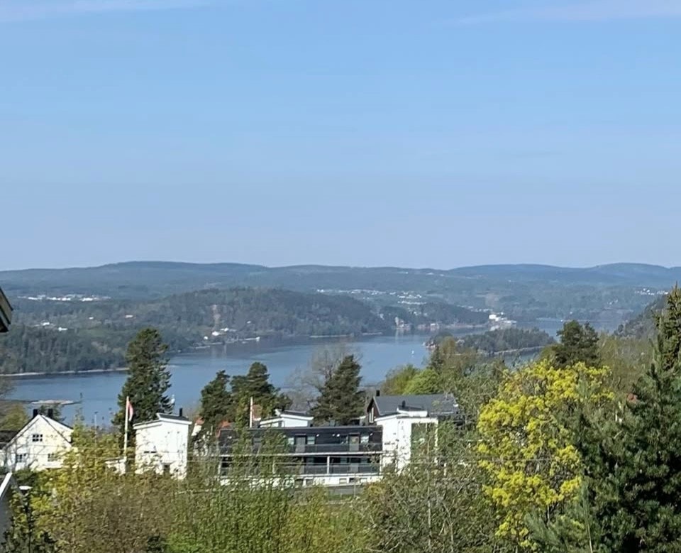 Selgers private bilder. Galleribilde