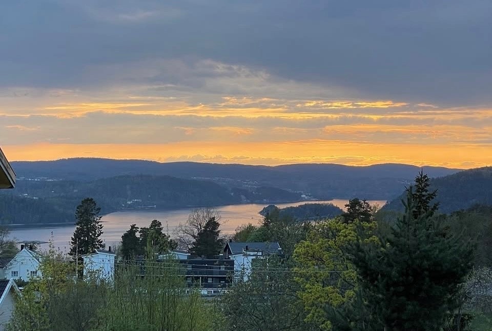 Selgers private bilder. Galleribilde