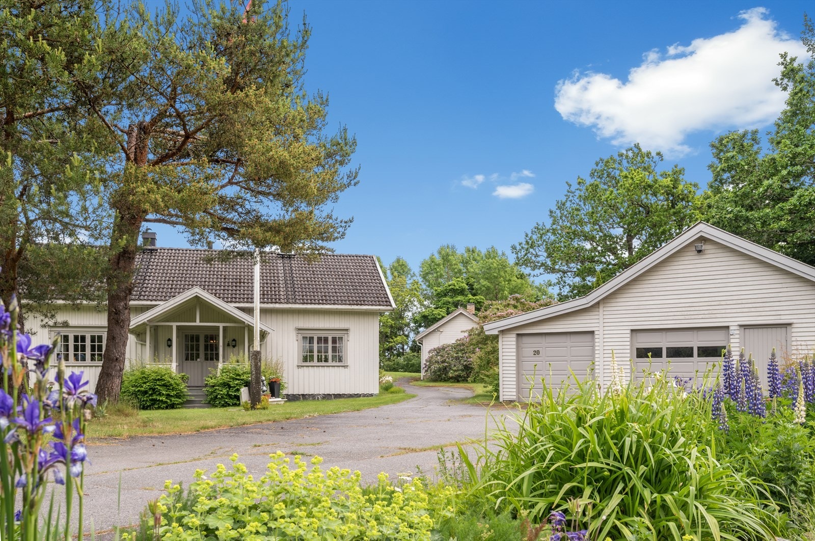 DSC_7917.jpg Galleribilde