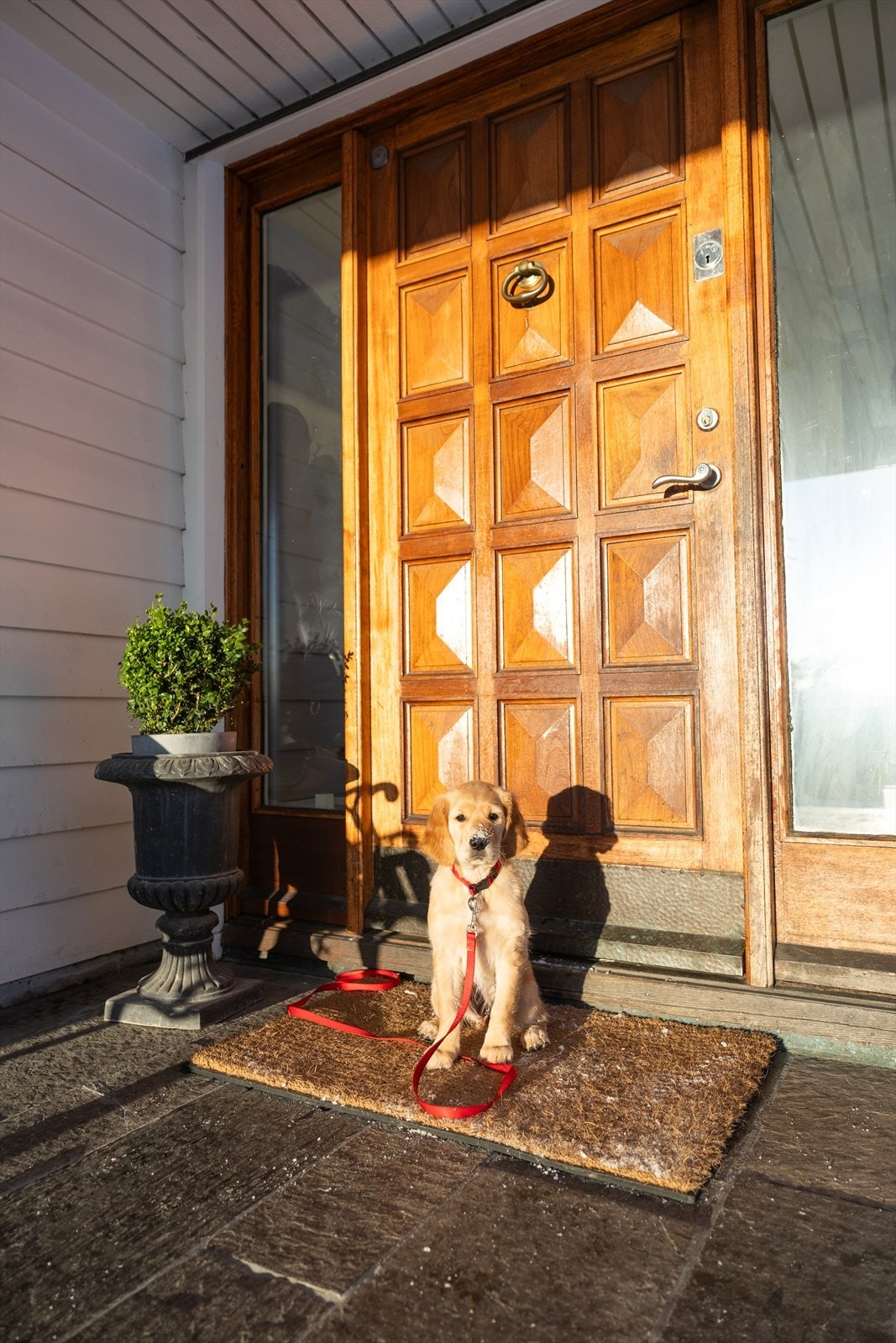 Velkommen inn! Galleribilde