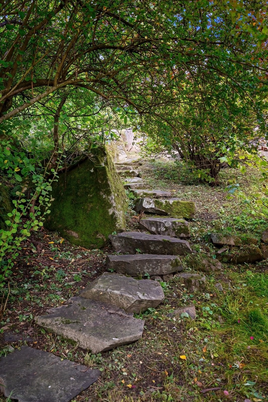 Koselig stentrapp i hage Galleribilde