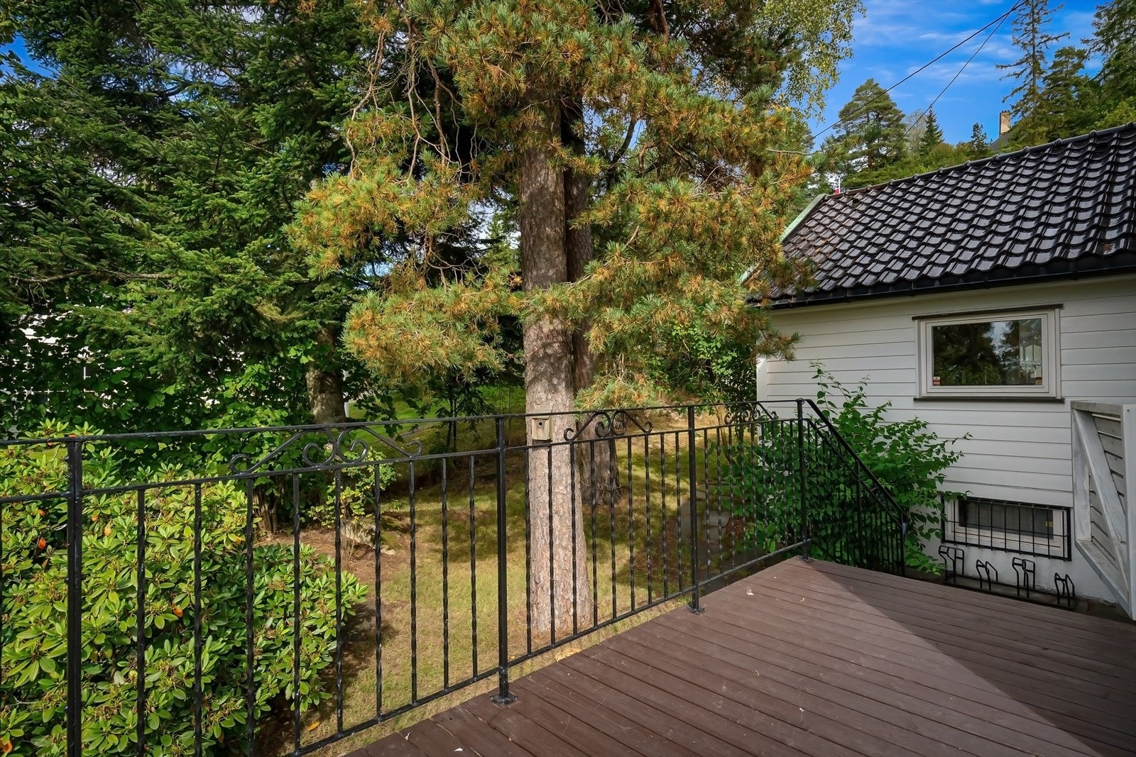 Trapp ned til hagen Galleribilde