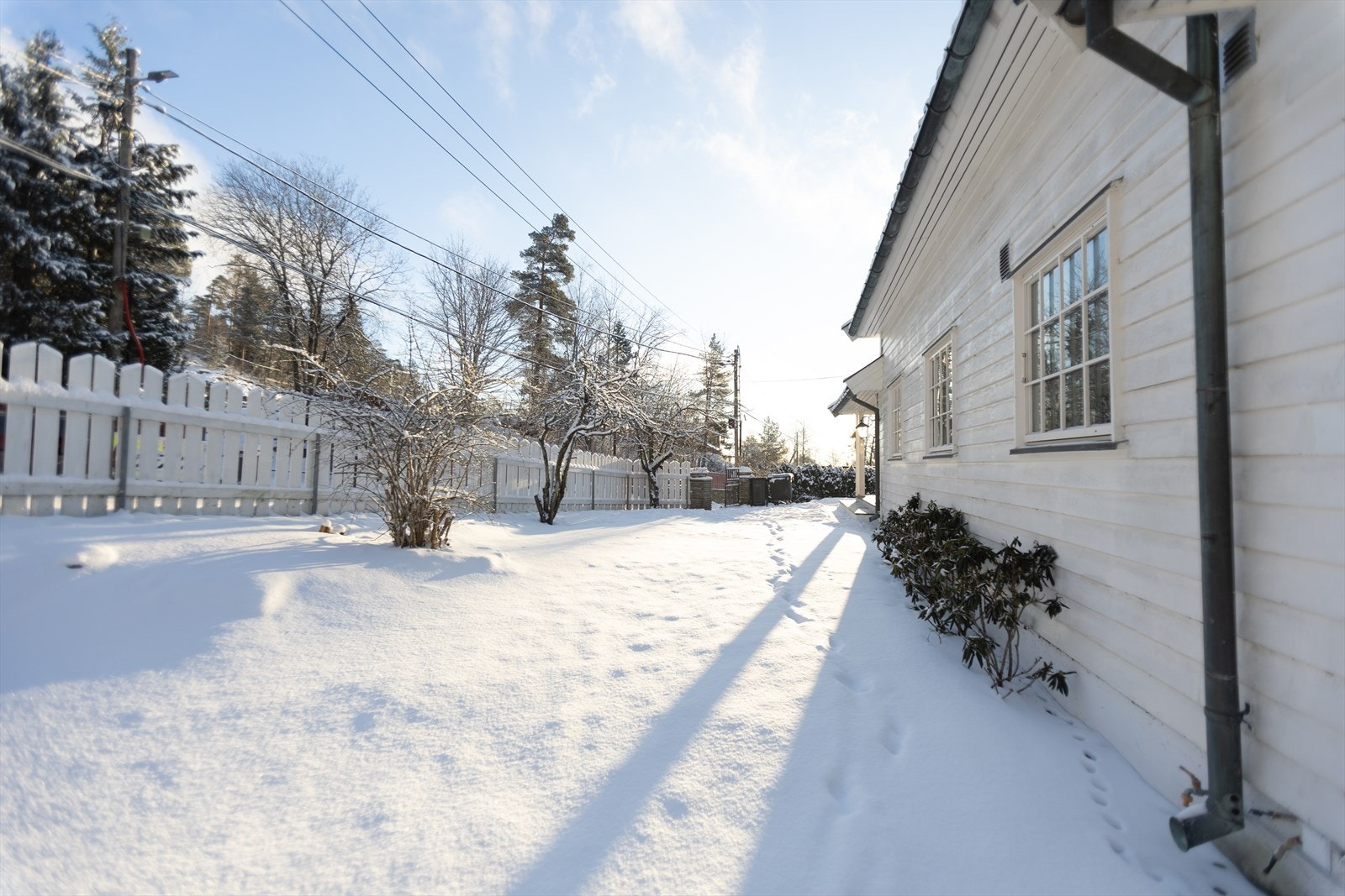 Stor inngjerdet tomt Galleribilde