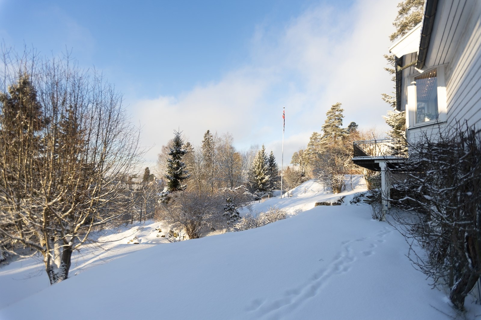 Store deler av tomten er naturtomt Galleribilde
