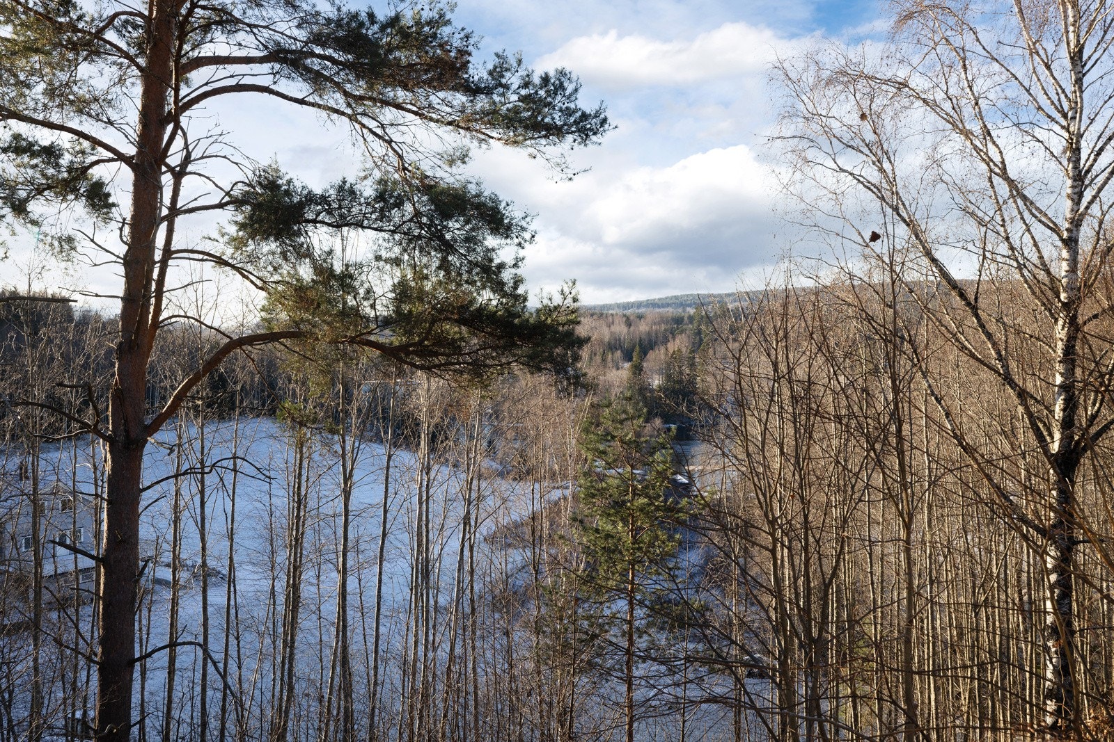 Utsikt. Galleribilde