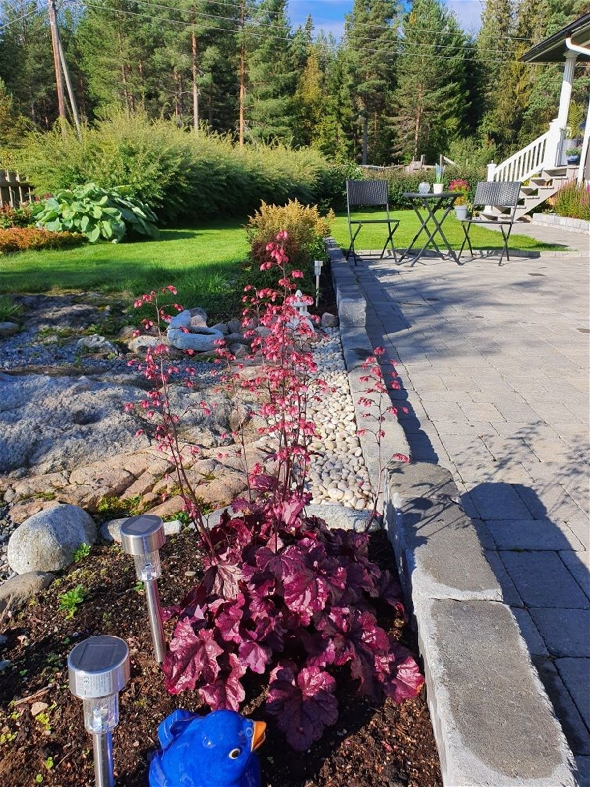 Sommerbilde | Foto fra selger Galleribilde