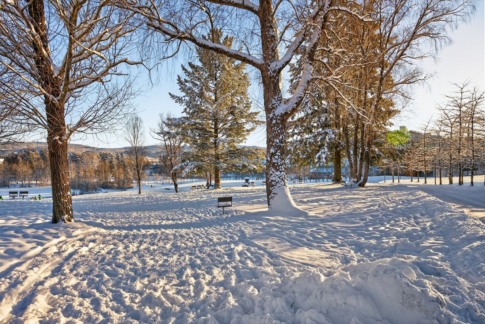 Rådhusparken er et naturlig samlingspunkt for rekreasjon, joggeturer og avslapning. Galleribilde
