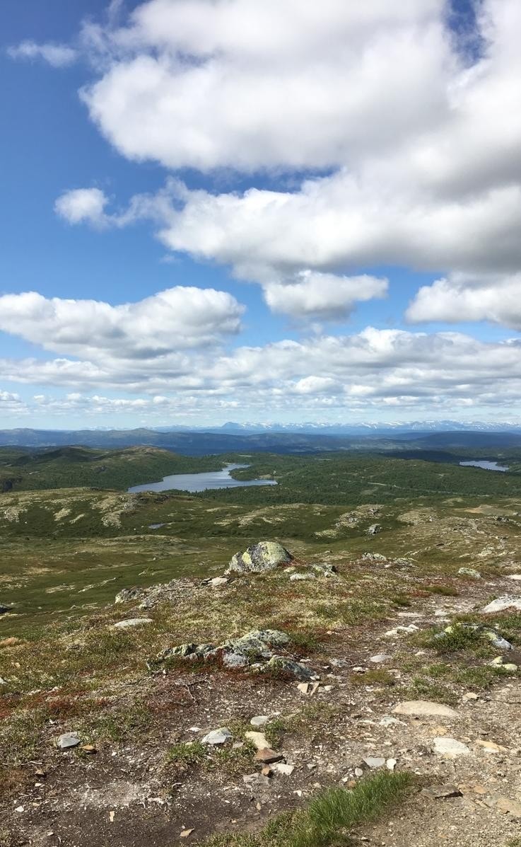Fjellområdene rundt Etnedal byr på mange flotte topper med bl.a. Spåtind (1414 moh.), Djuptjernkampen (1325 moh.), Jomfruslettfjell (1139 moh.), Røssjøkollane (1287 moh.) og Solskiva (1184 moh.) Galleribilde