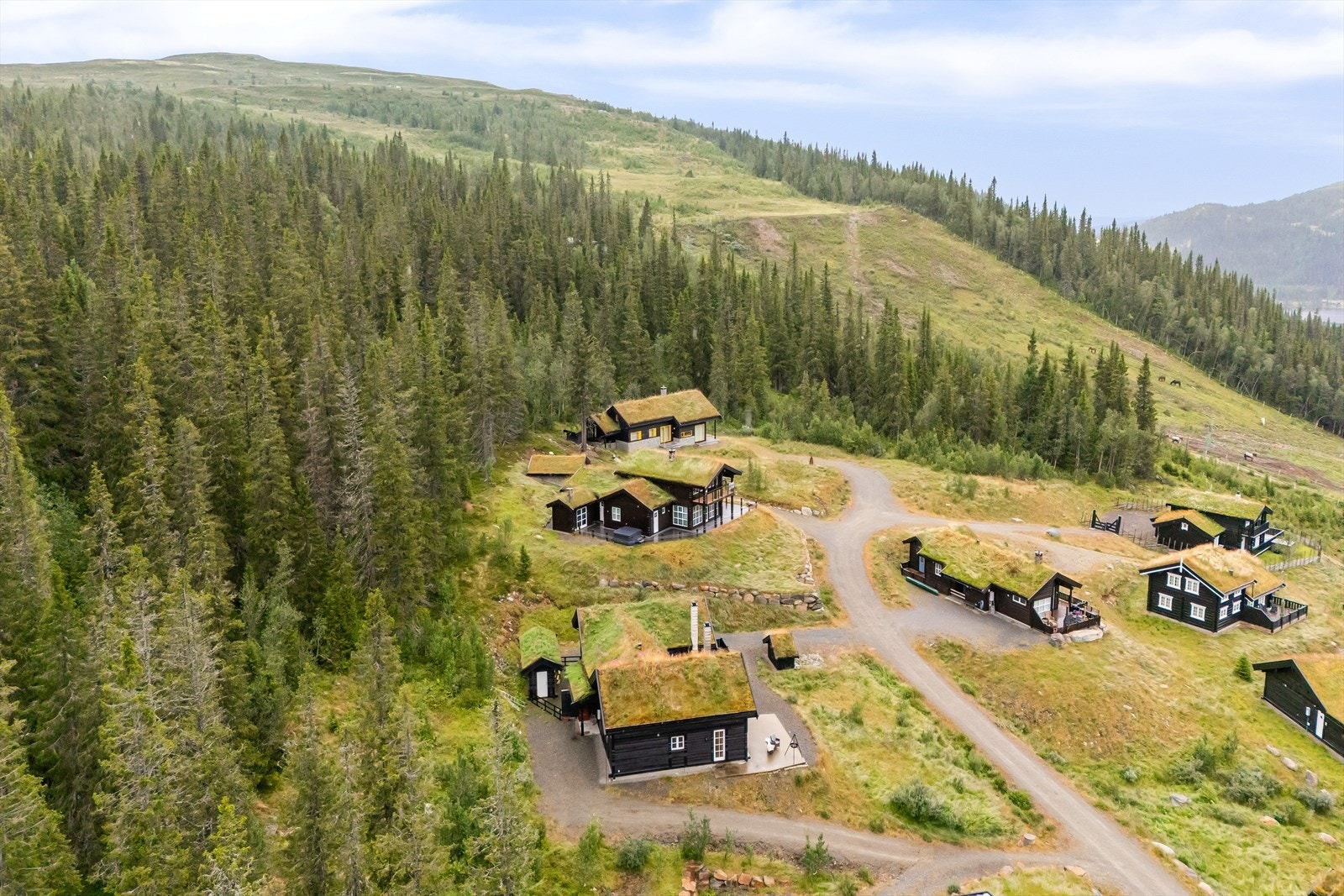 Områdebilde. Galleribilde