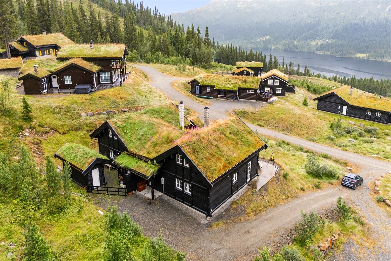 Fasade. Galleribilde