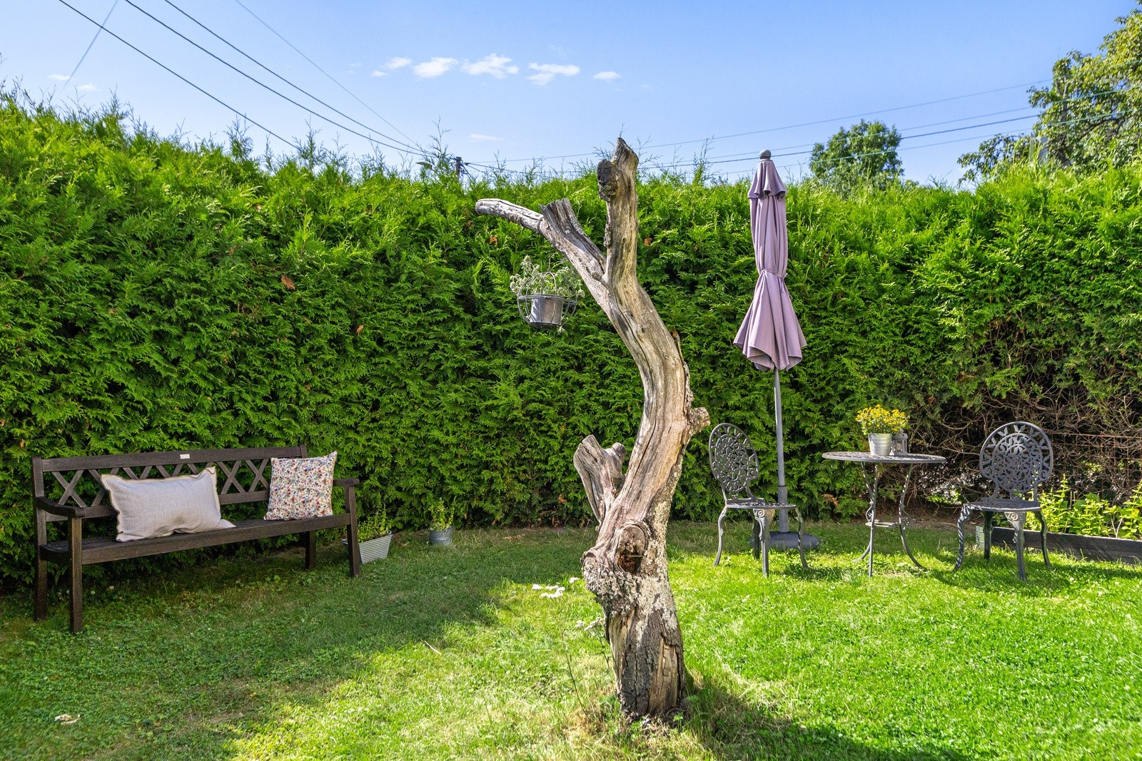 Hageparsellen ligger helt skjermet av vintergrønn hekk og gir en grønn oase mot sydvest. Galleribilde