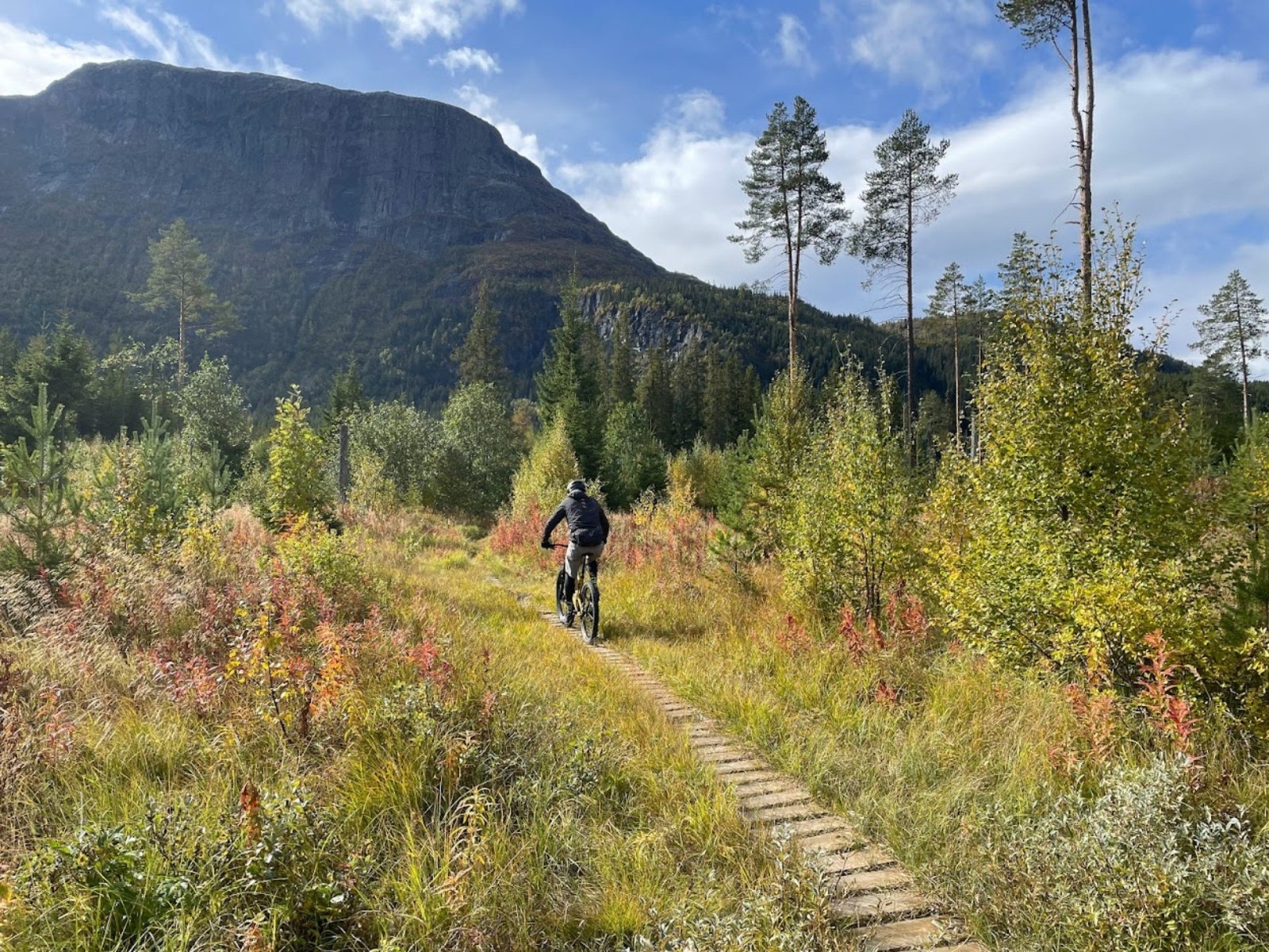 Flott stier for turer, løping og sykling i umiddelbar nærhet. Galleribilde
