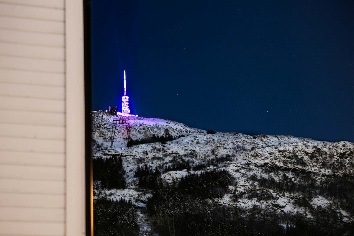 Utsikt til Ulriken Galleribilde