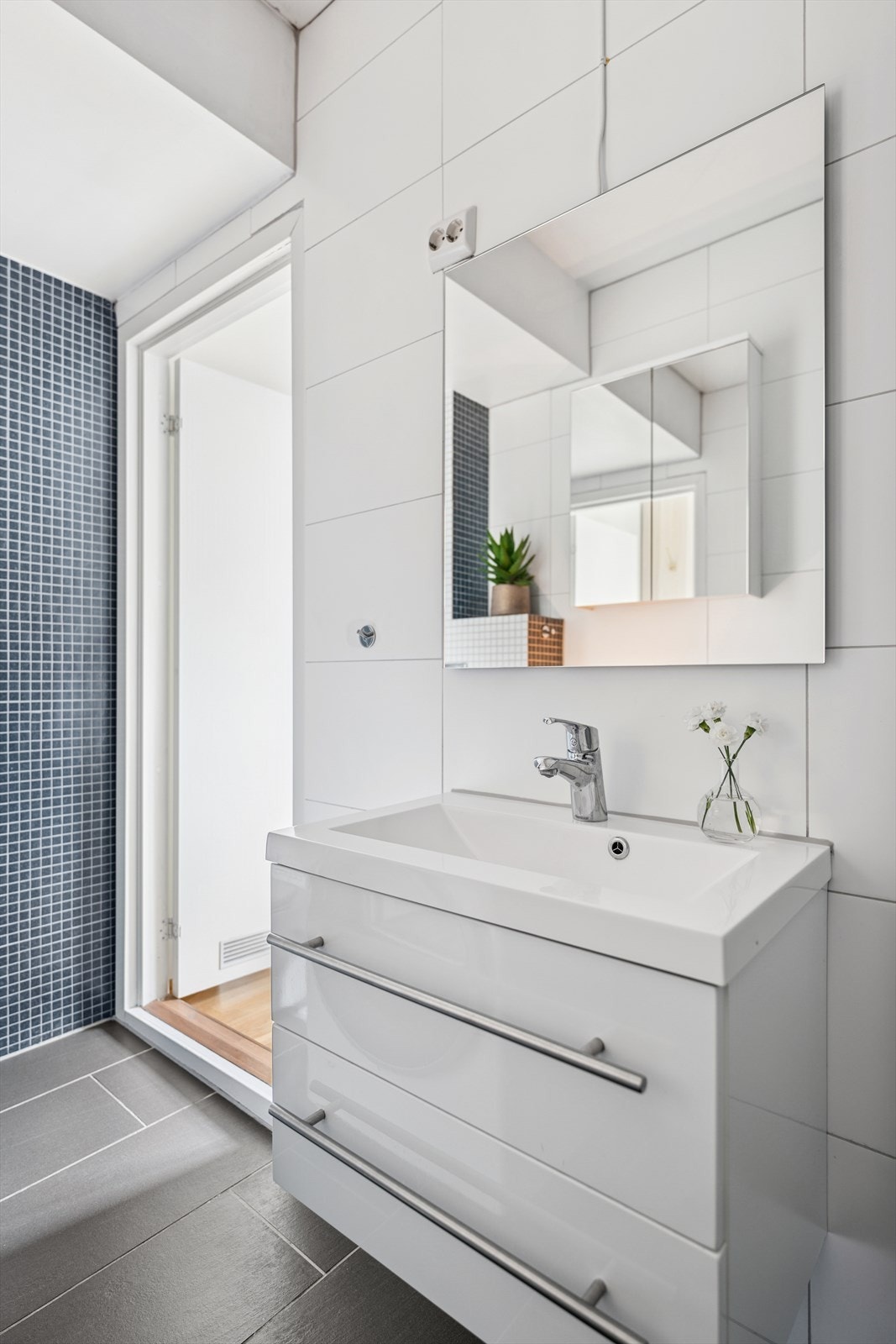 Vegghengt servant med underskap og vegghengt speil Galleribilde