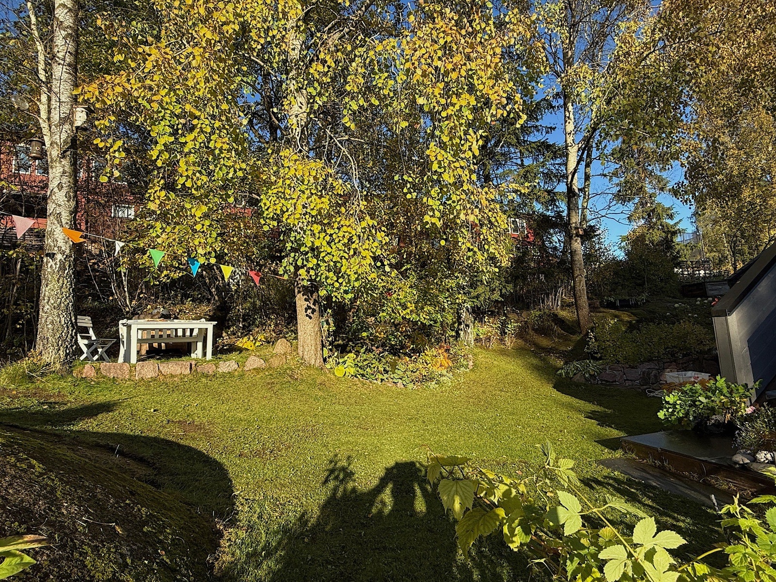 Tomten er stor! Galleribilde