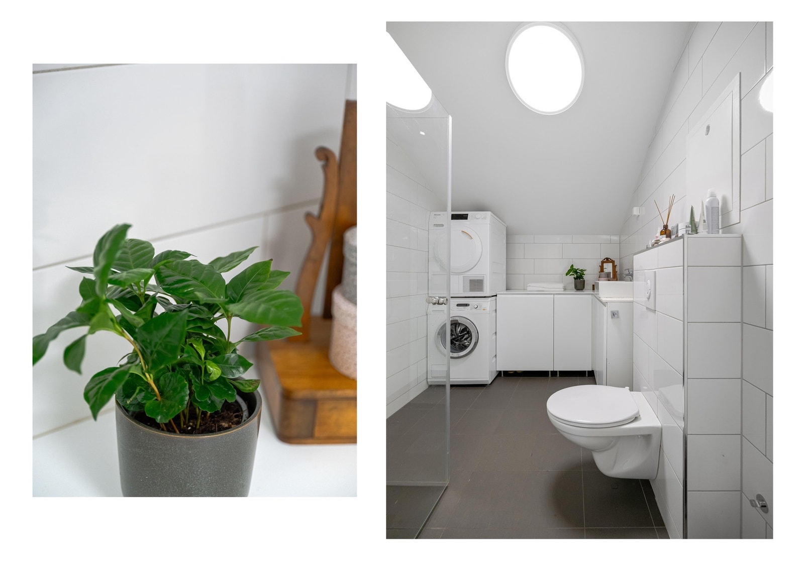 For å virkelig få deg i stemning kliner vi til med denne grønne planten vi. Galleribilde