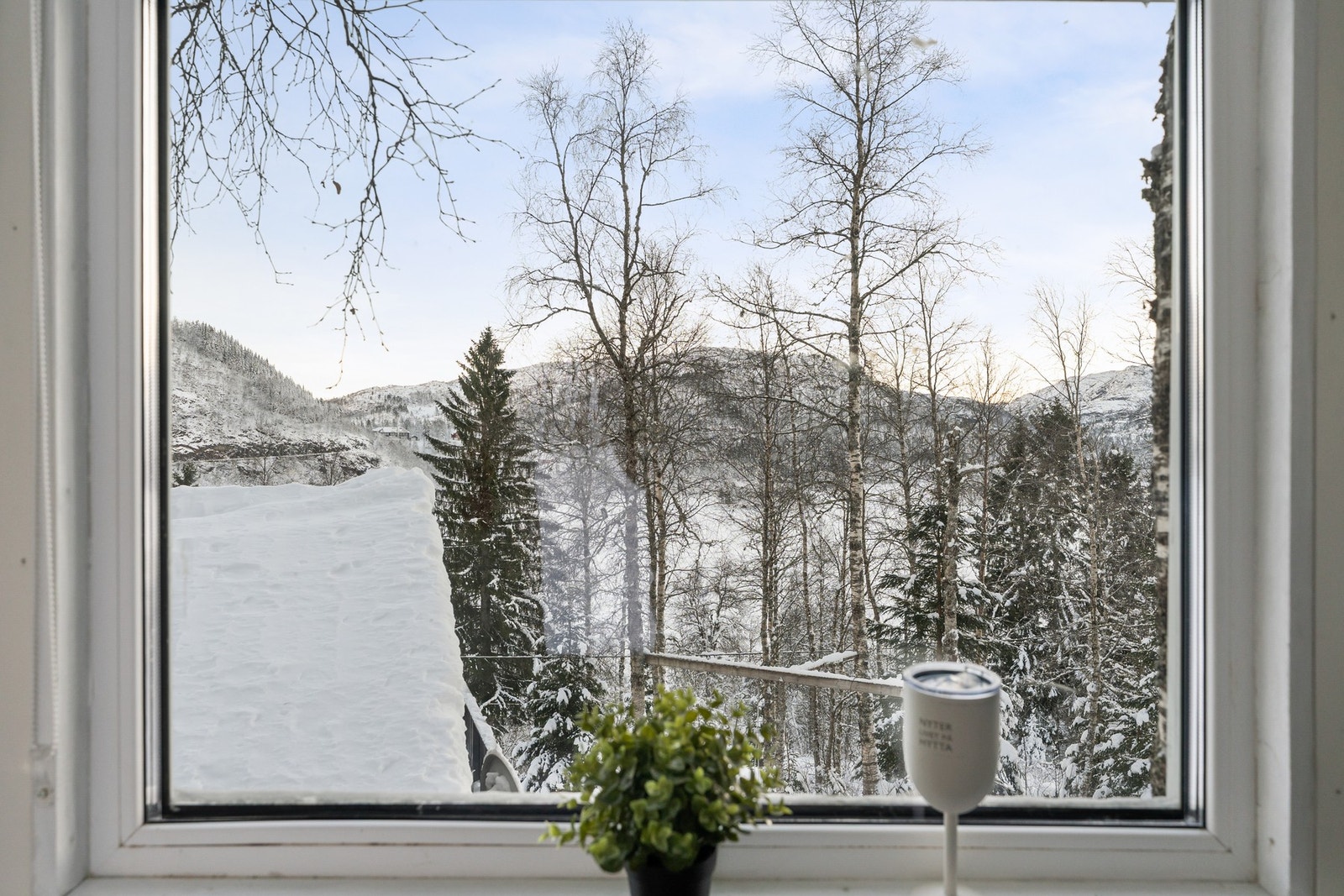 Det er også flott utsyn fra trehytten. Galleribilde