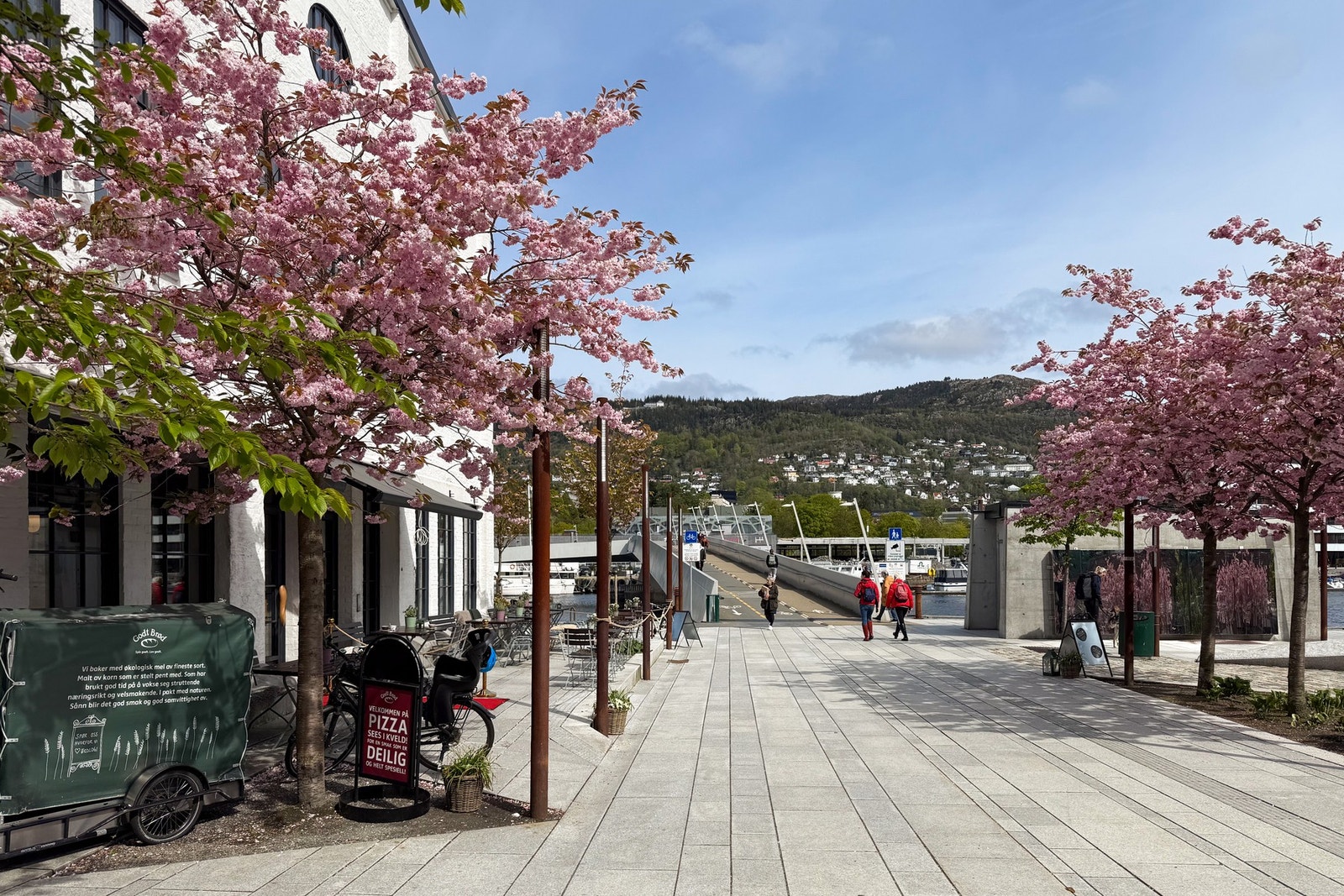 Småpudden, den nye gangbroen over Damsgårdssundet som knytter Damsgård sammen med Bergen sentrum. Galleribilde