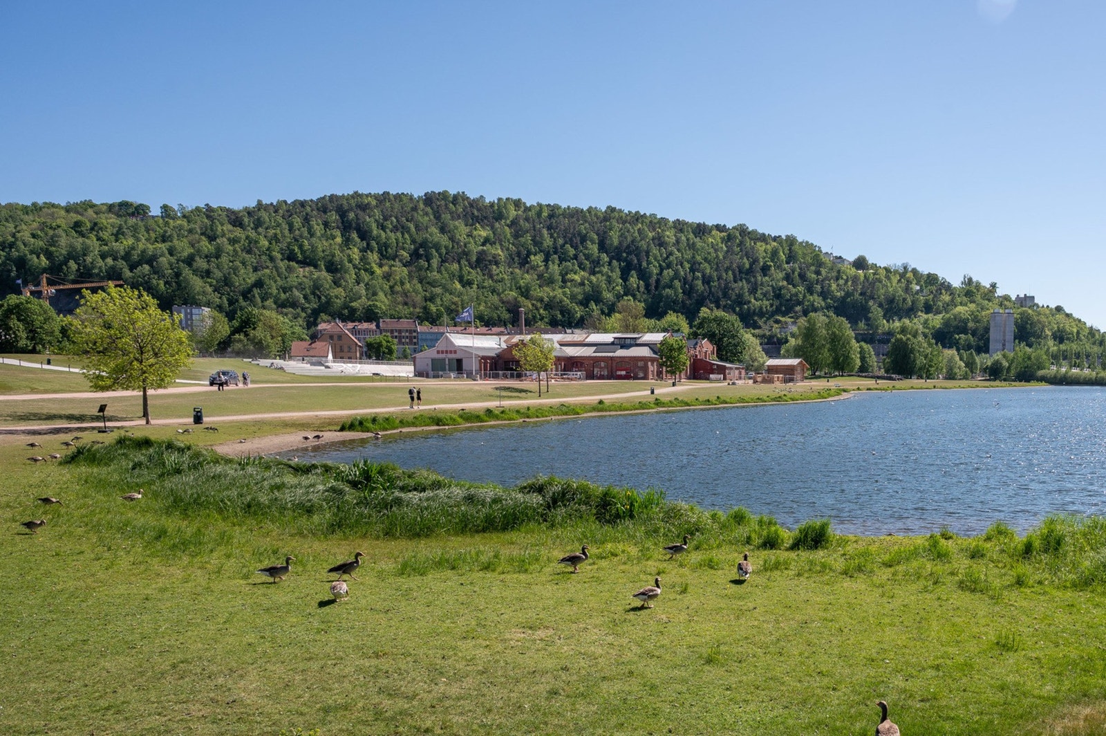 Middelalderparken Galleribilde