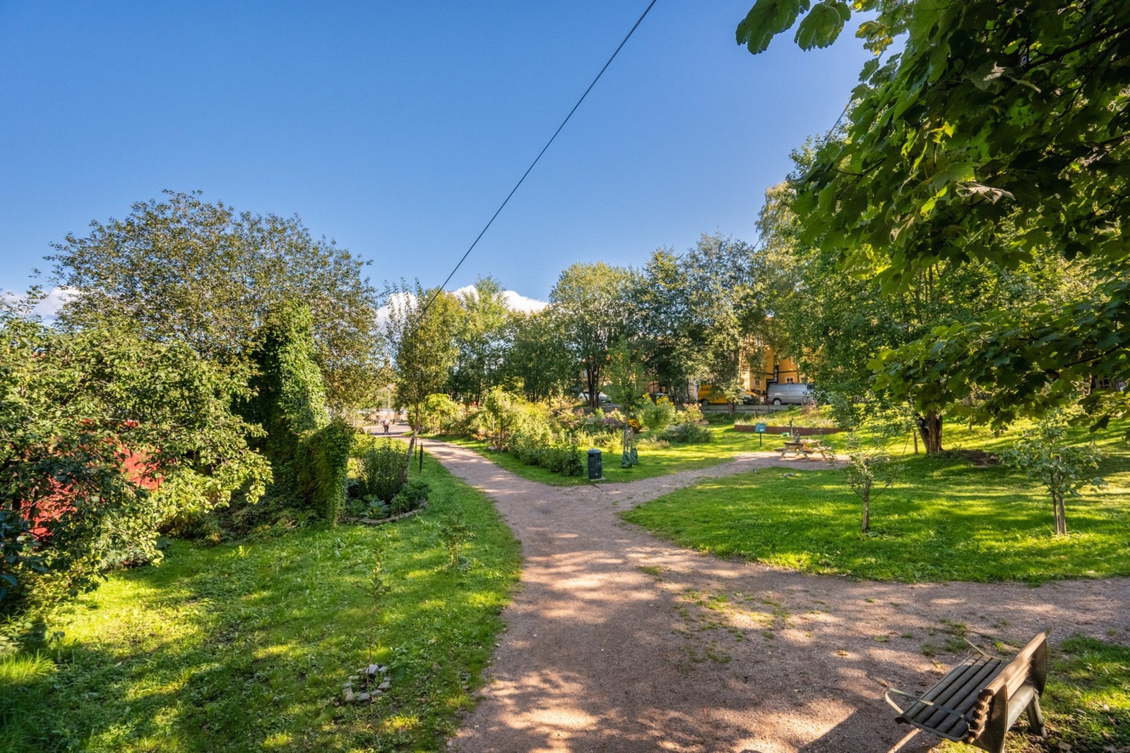 Bakerenga Park på sommerstid Galleribilde