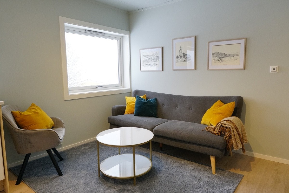 Lys og koselig stue for sosialisering Galleribilde