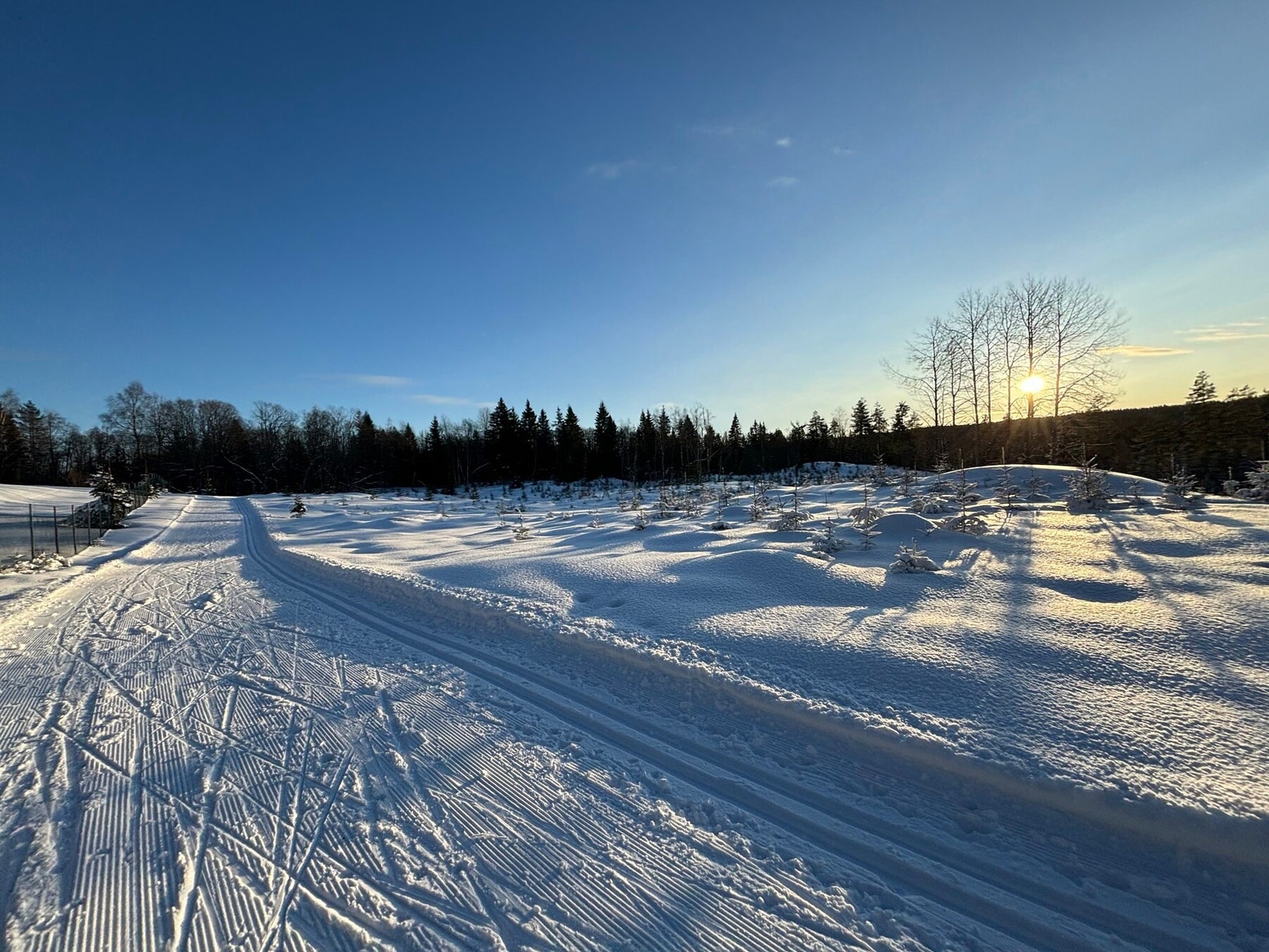 Enkel tilgang til fantastiske langrennsløyper på Solli/Vestmarka, kort vei fra boligen. Galleribilde