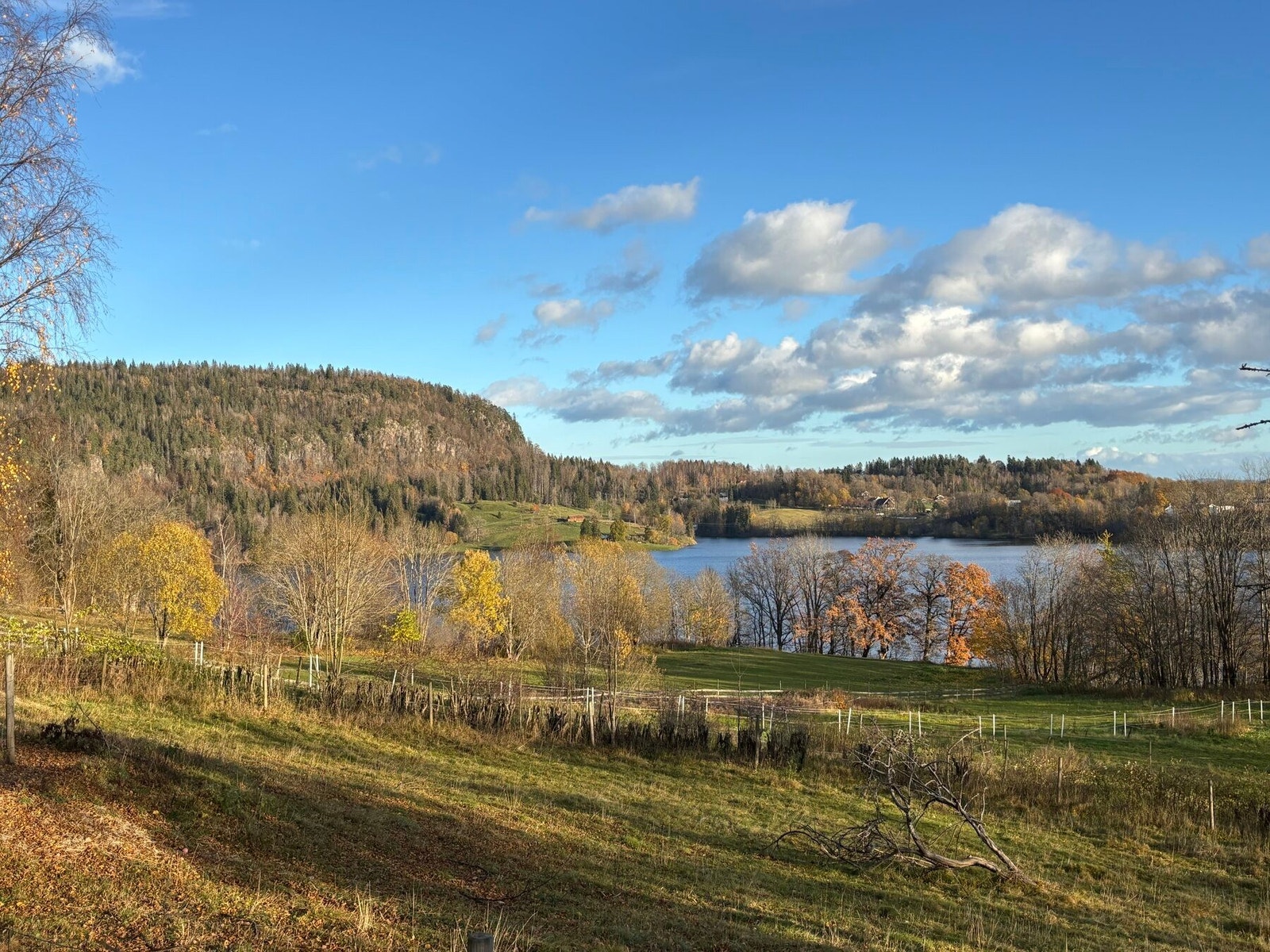 Gangavstand til Semsvannet med turløyper, nydelig natur og bademuligheter om sommeren. Galleribilde