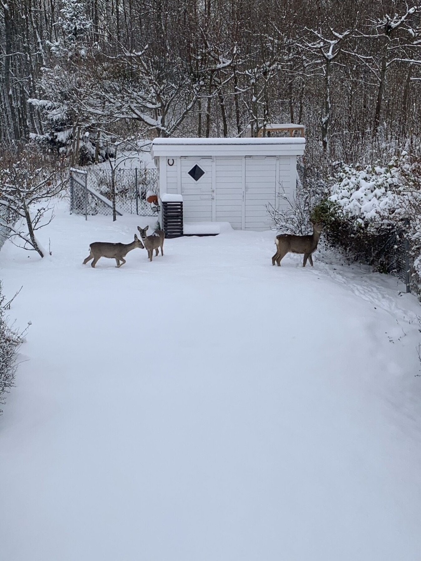 Her bor du tett på naturen, samtidig som Asker sentrum er få minutter unna. Galleribilde