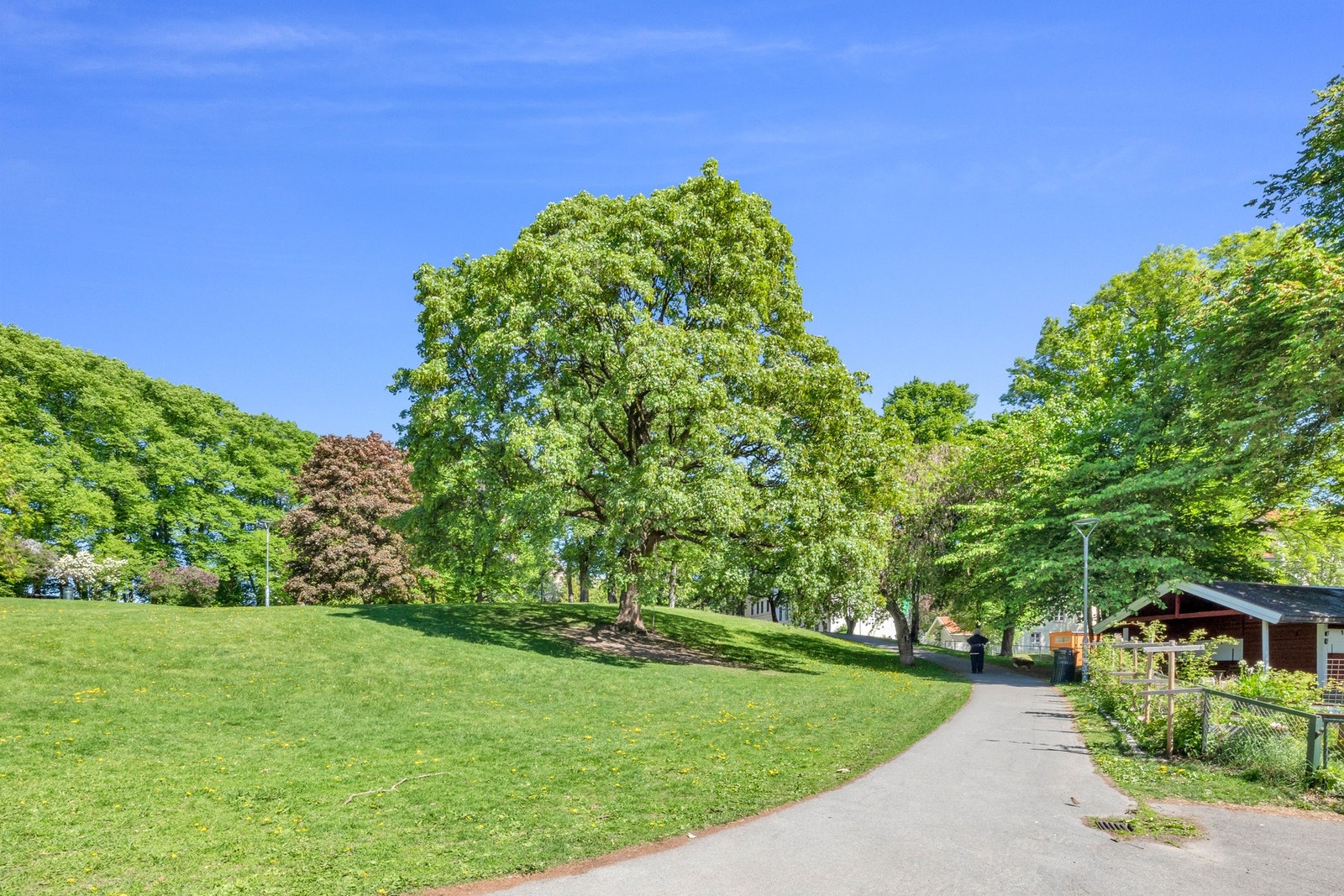 - Bjølsenparken - Galleribilde